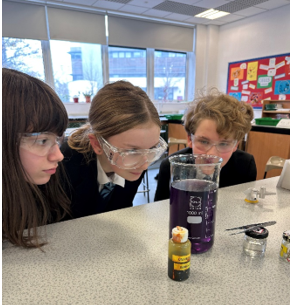 Three students looking in a beaker in a practical investigation wearing safety goggles into the reactivity of metals in water.    