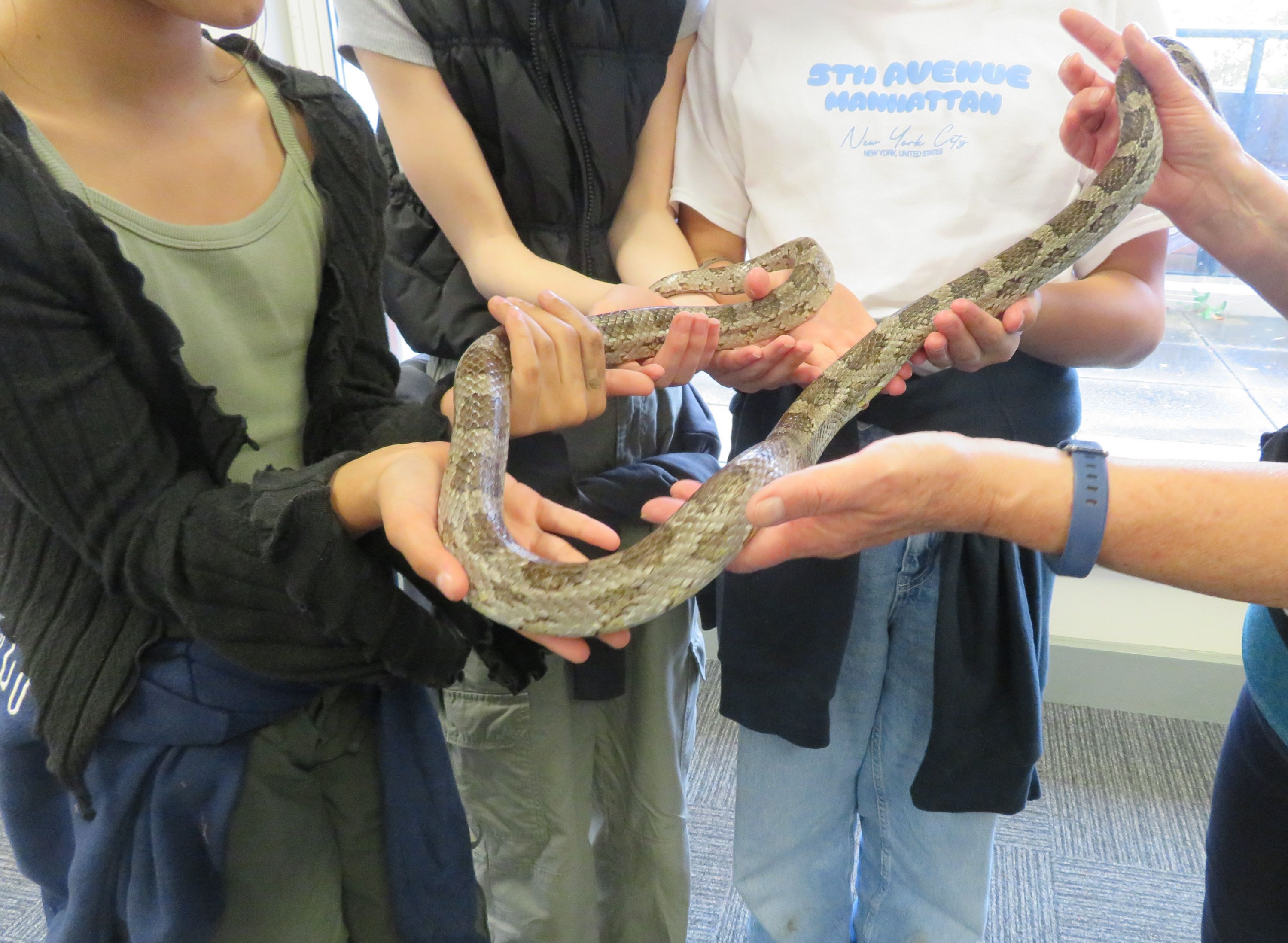 A group of students handling a snake