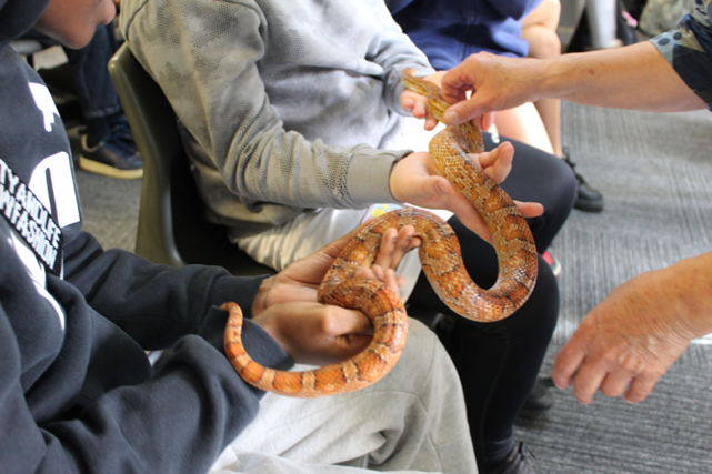 two students holding a snake